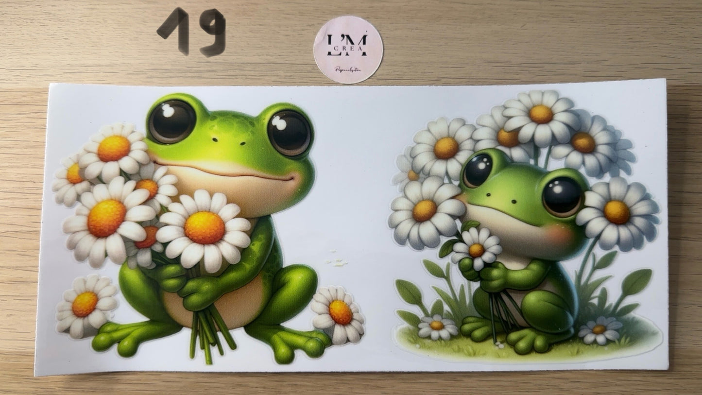 Dragon/Grenouille
