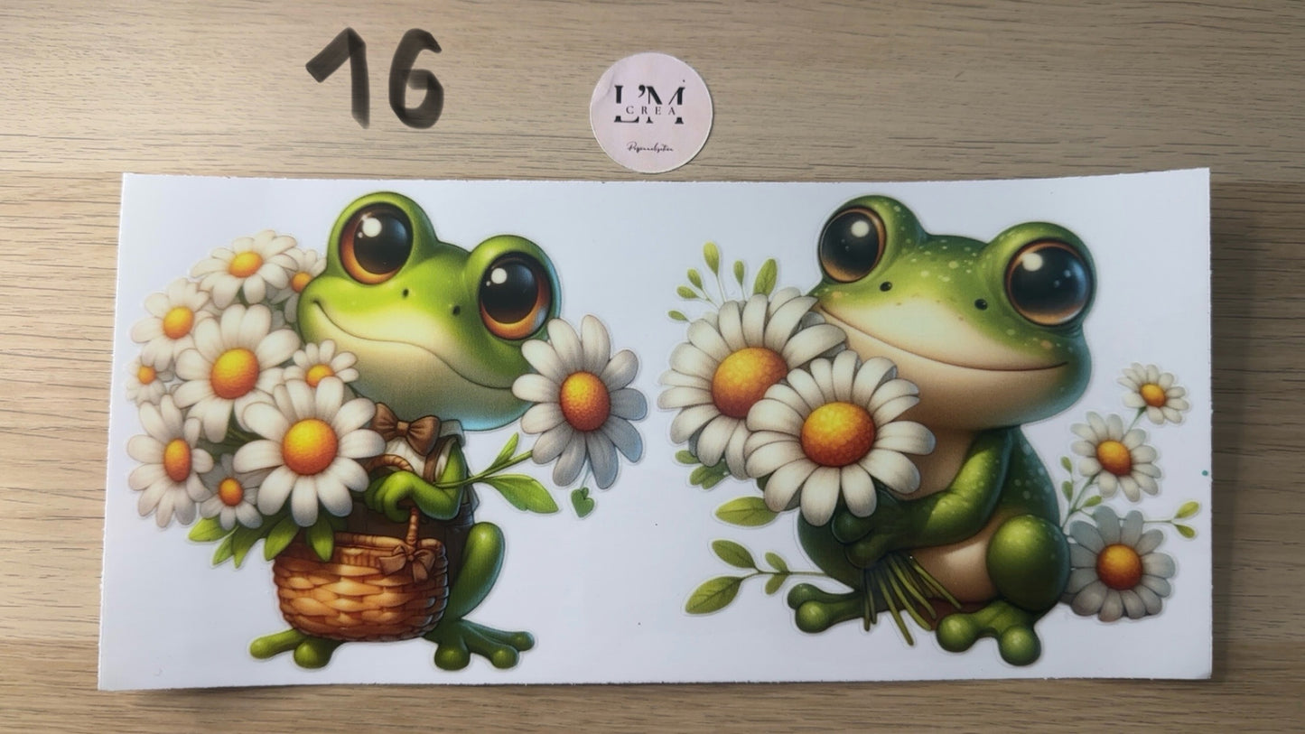 Dragon/Grenouille