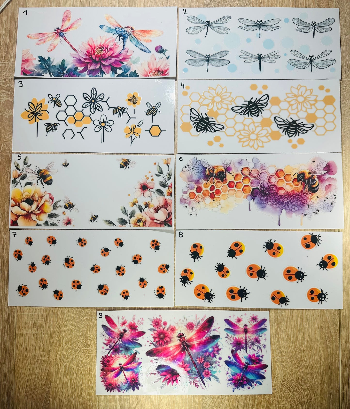 Insectes