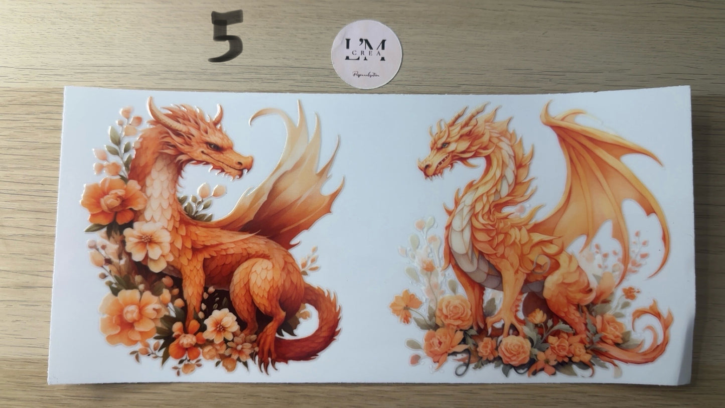 Dragon/Grenouille