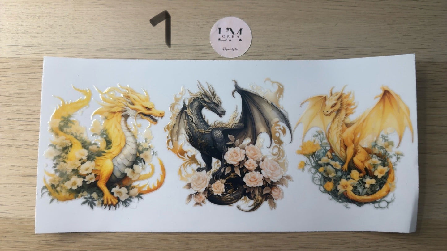 Dragon/Grenouille