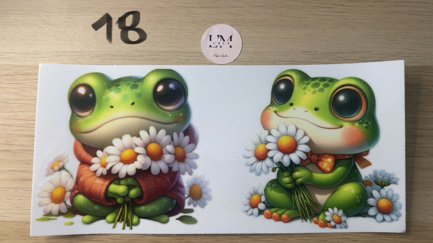 Dragon/Grenouille