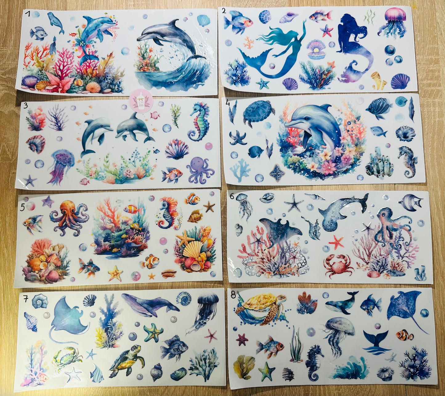 Animaux marins/coquillage
