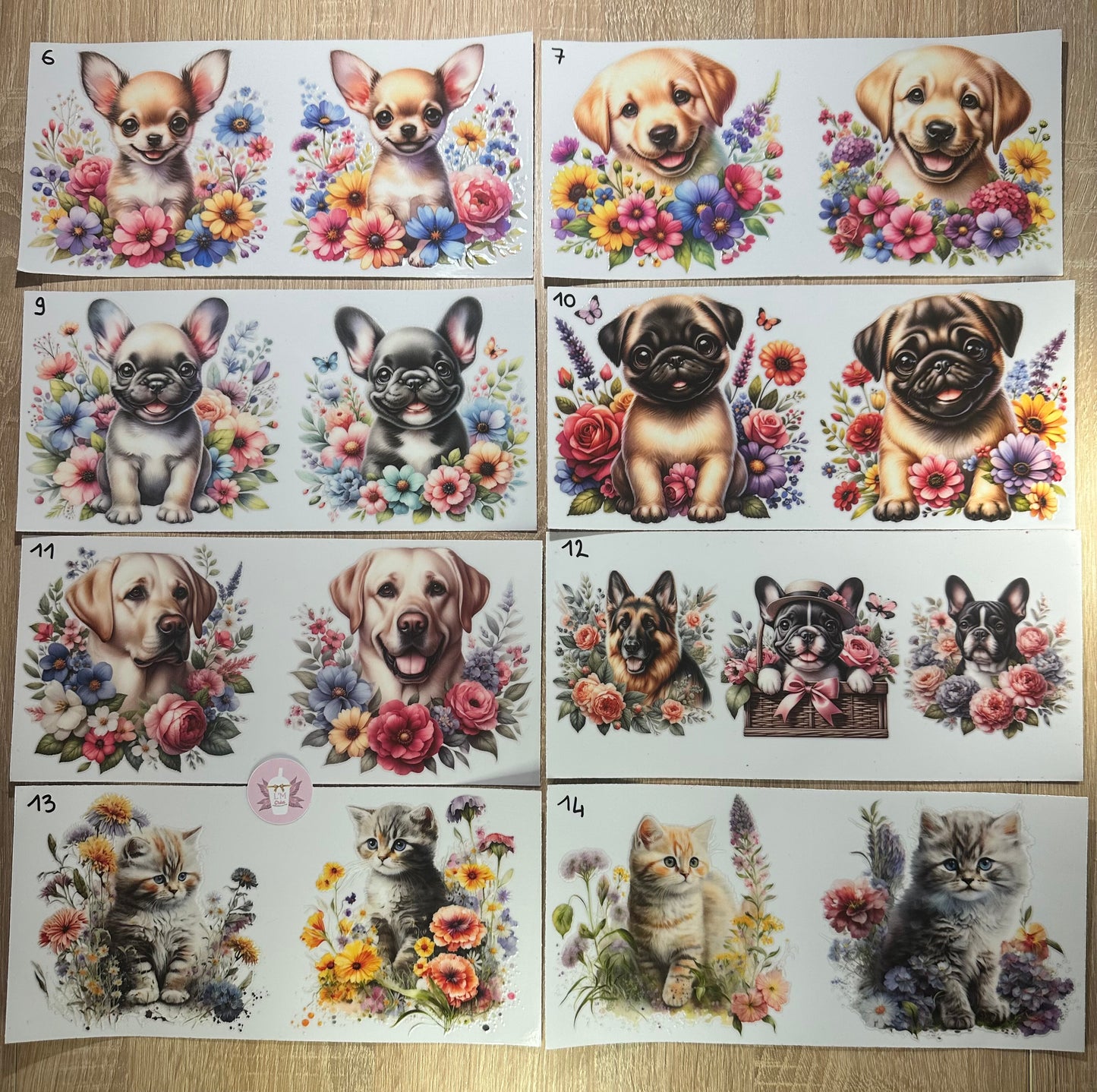 Chien/Chat