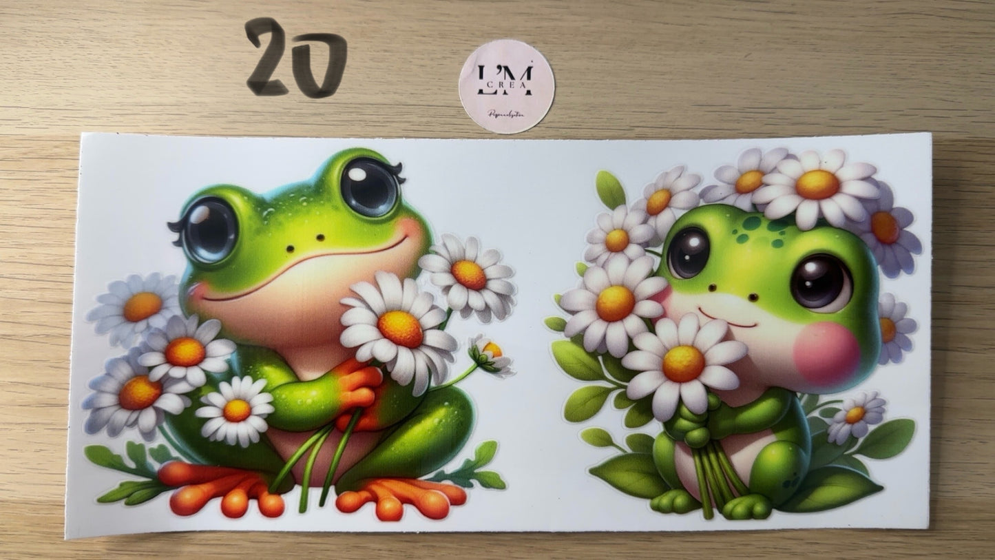 Dragon/Grenouille