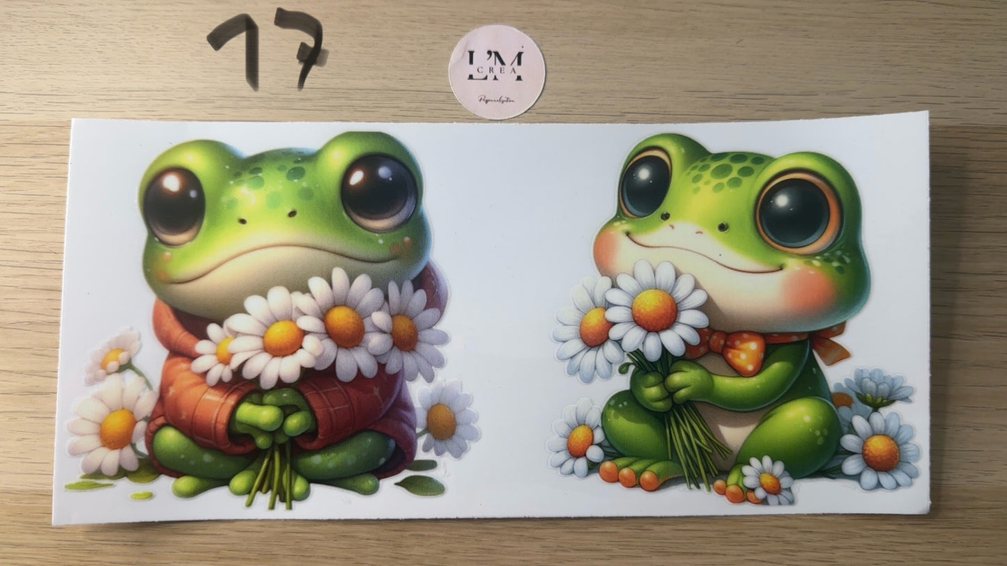 Dragon/Grenouille