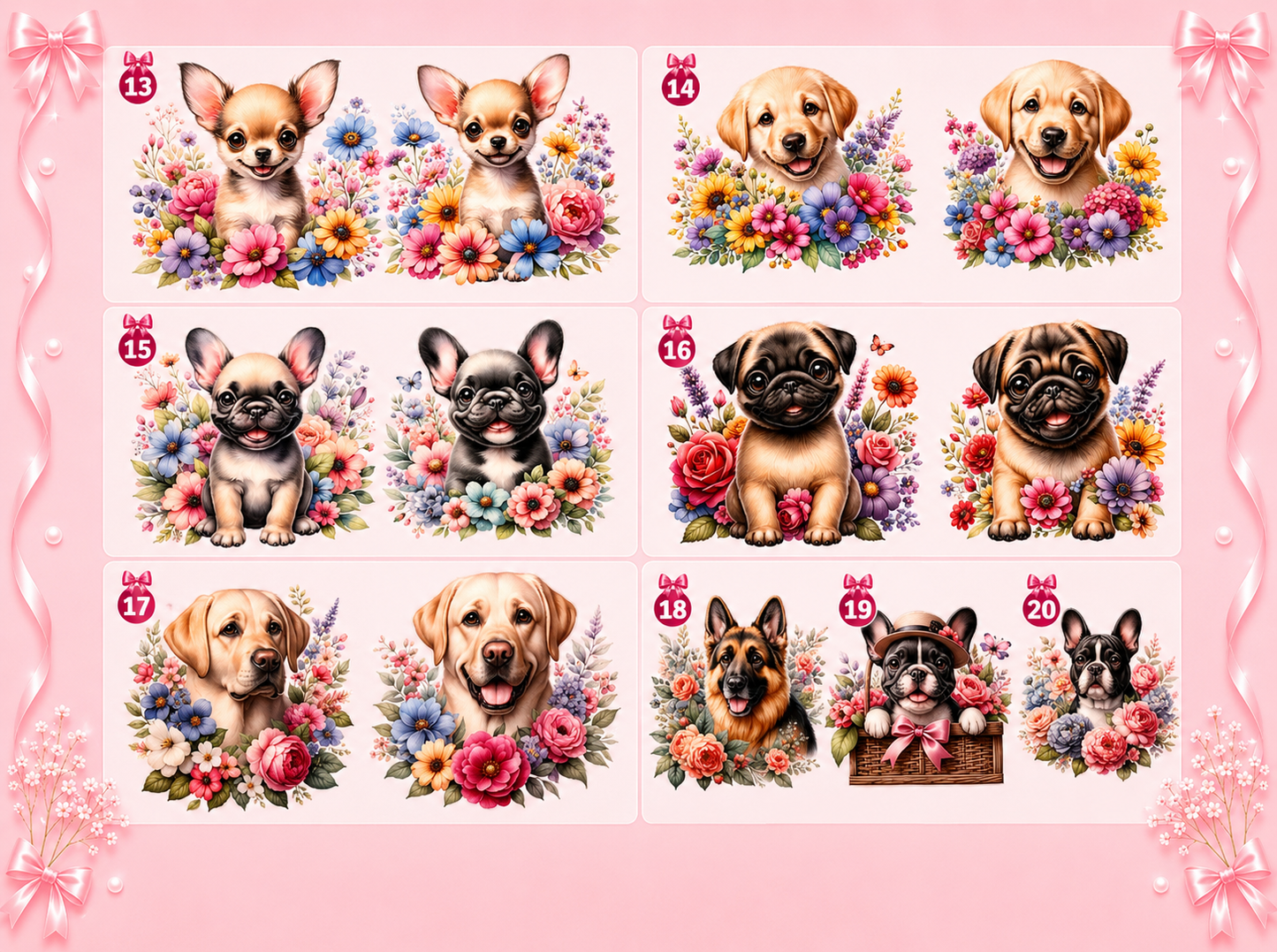 Chien