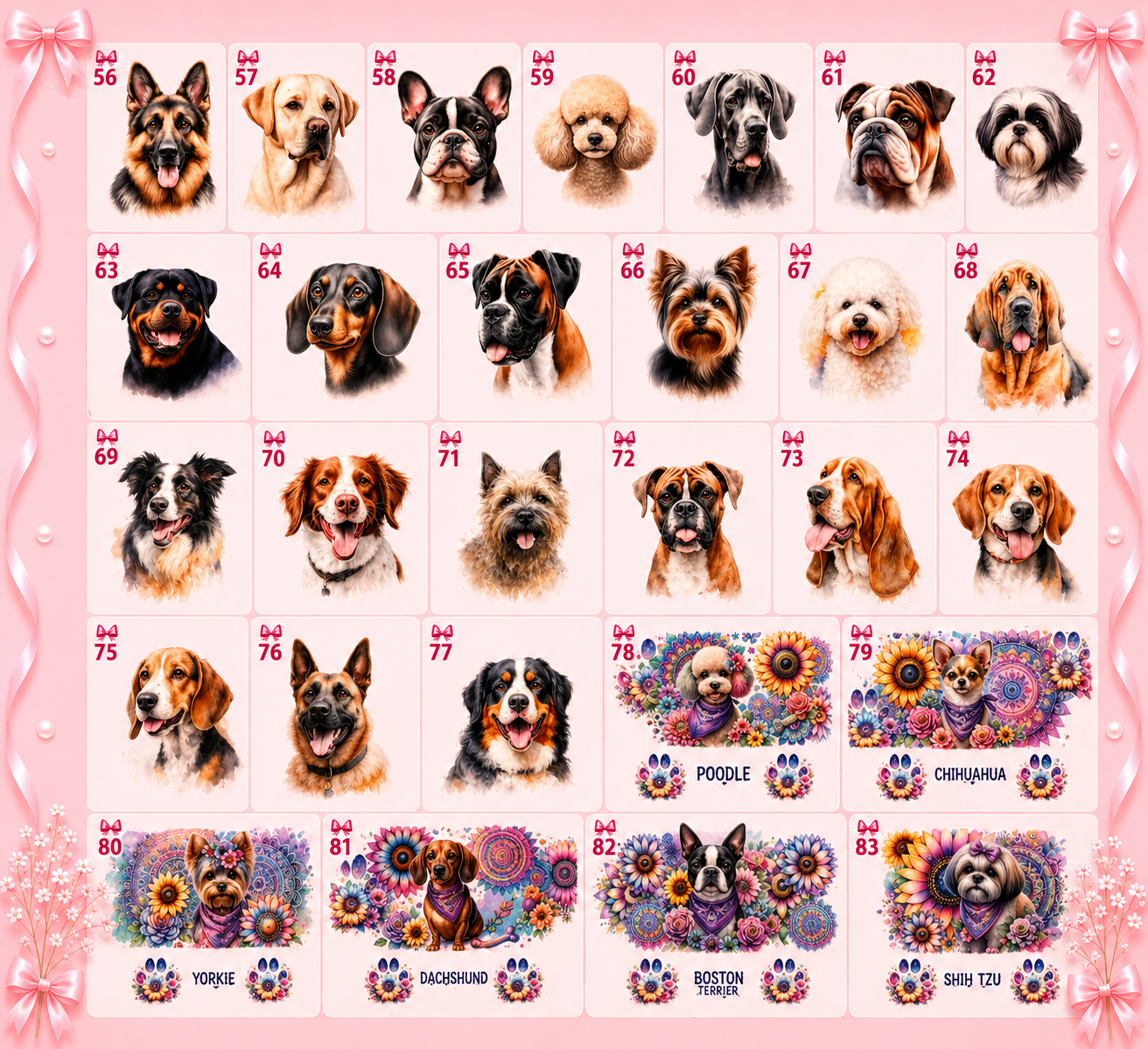 Chien