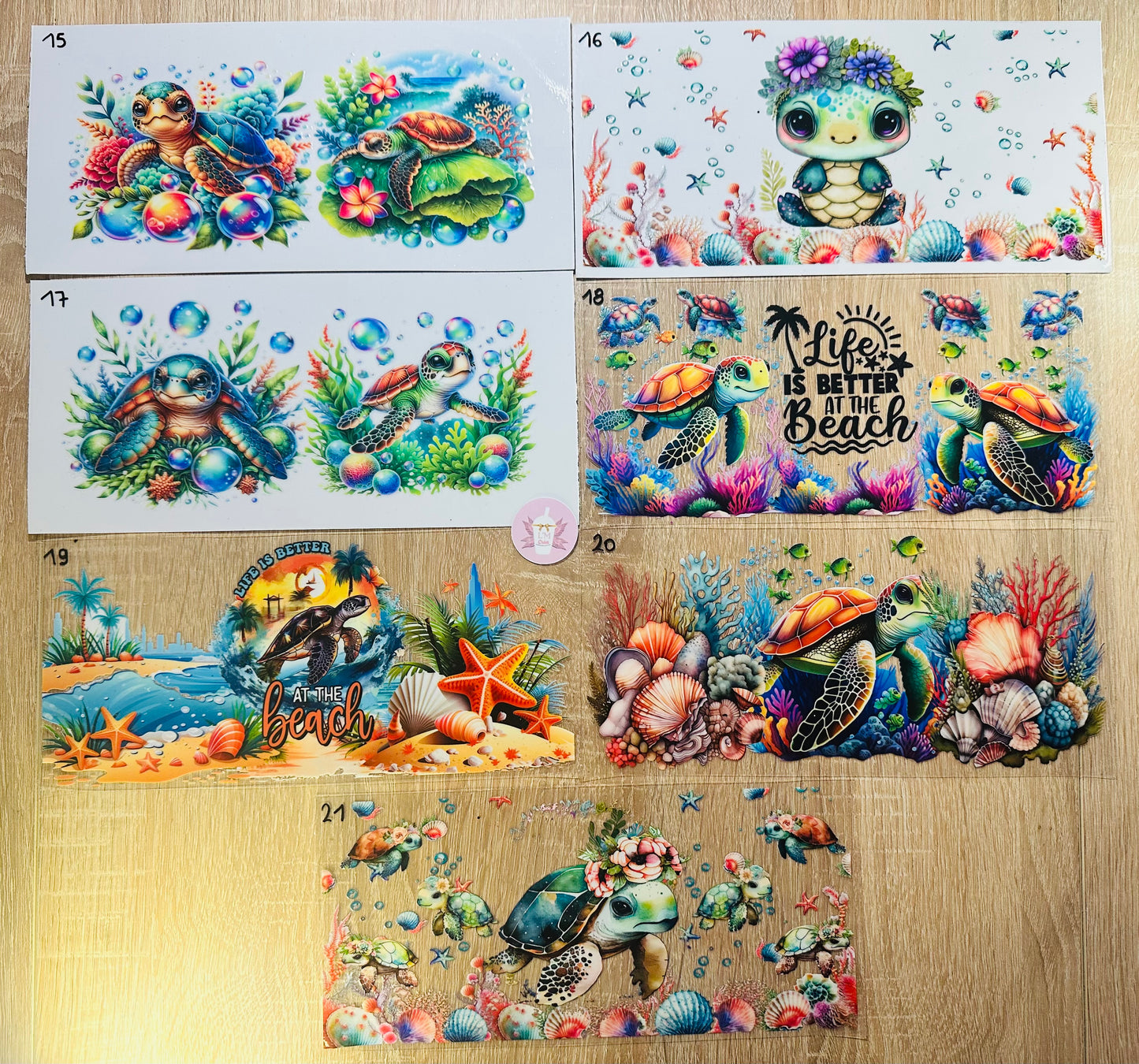 Animaux marins/coquillage