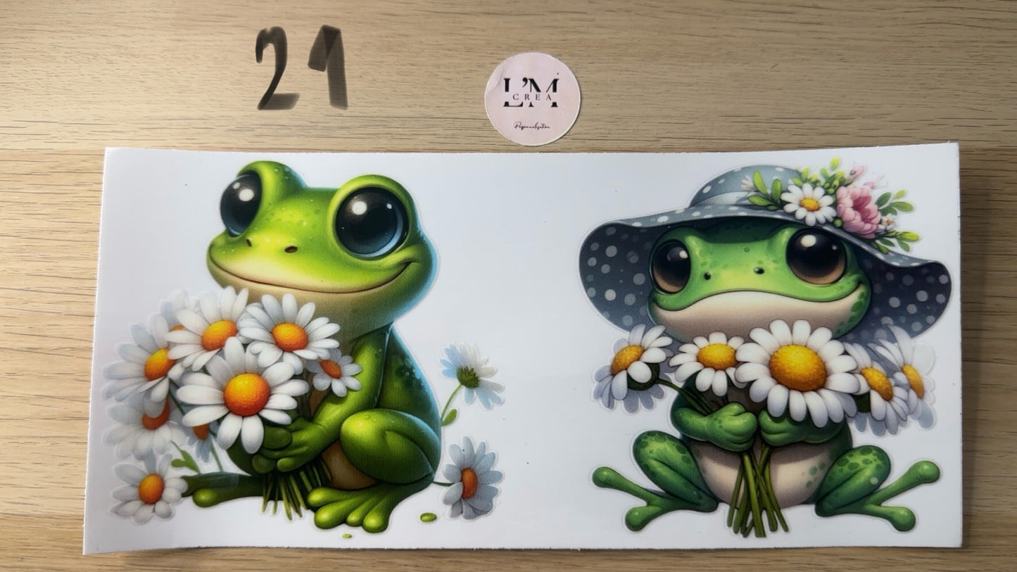 Dragon/Grenouille
