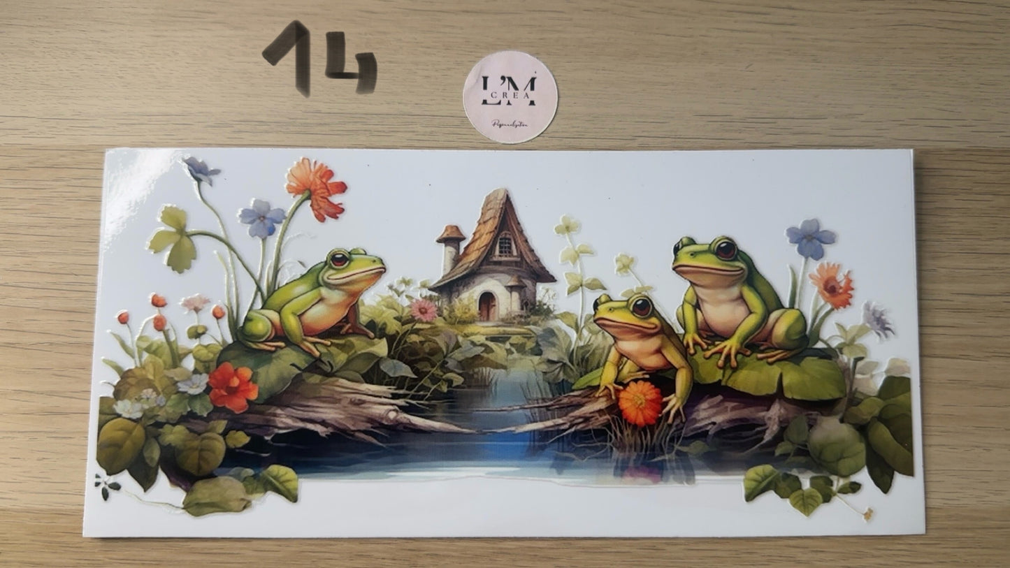 Dragon/Grenouille