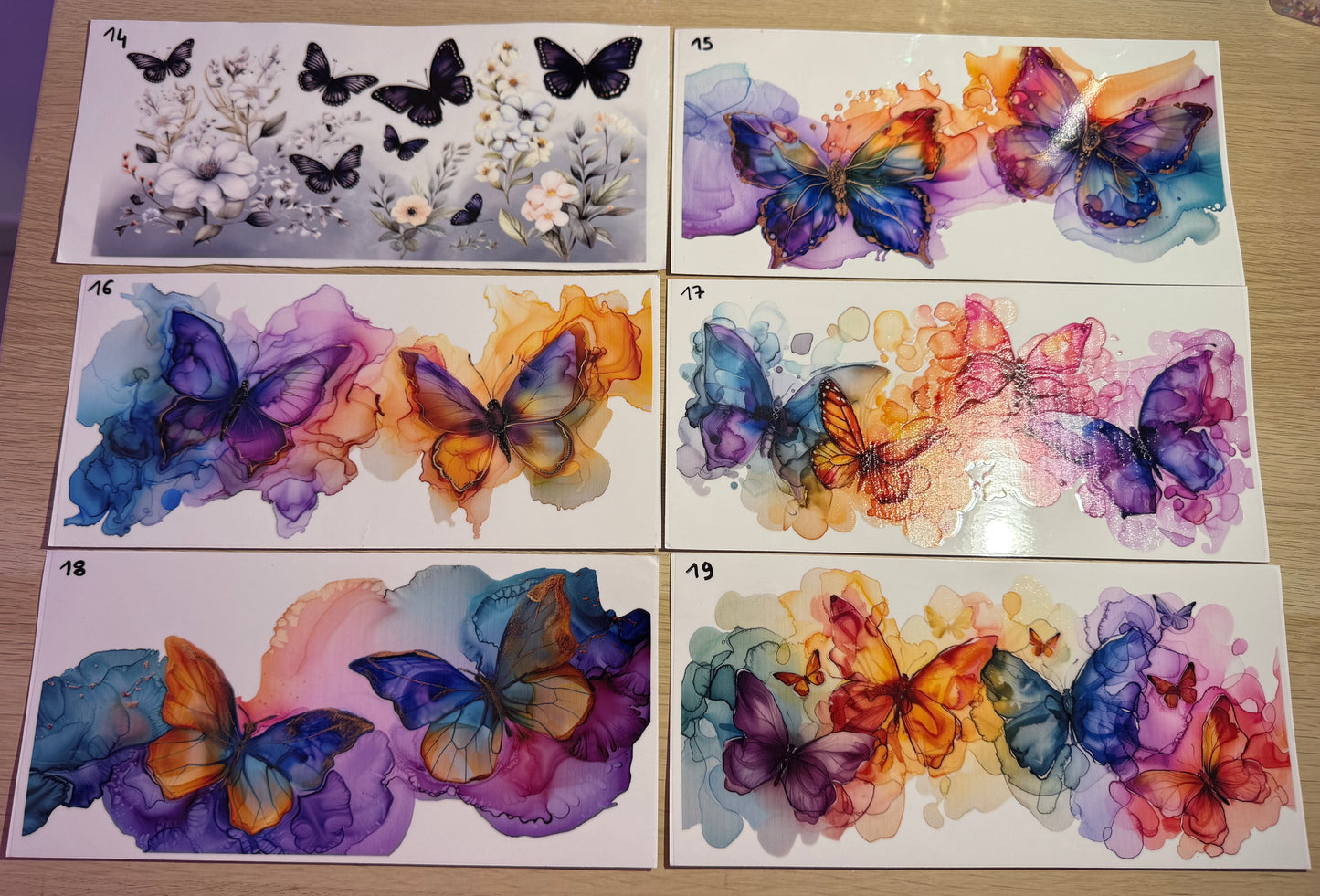 Papillon
